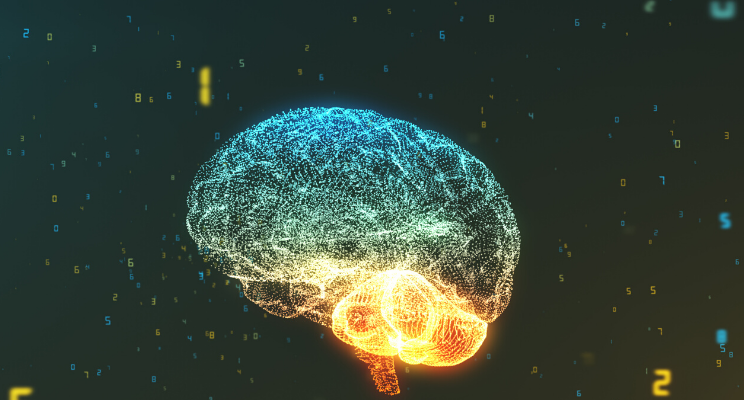 Understanding Behavioral Bias